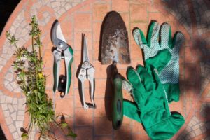 Ein Gartenschrank bietet Platz fuer Zubehoer