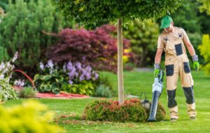 Mann sammelt mit Akku-Laubblaeser Laub im Garten