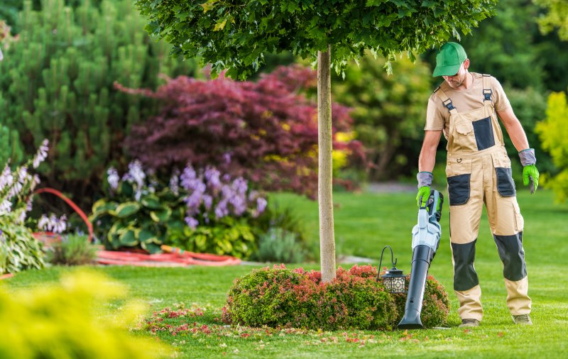 Mann sammelt mit Akku-Laubblaeser Laub im Garten