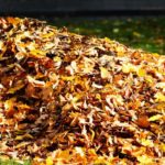 Laubhaufen nach Einsatz von Akku-Laubbläser