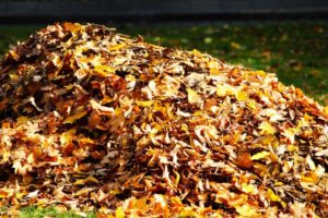 Laubhaufen nach Einsatz von Akku-Laubbläser