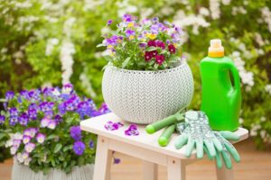 Schöne Blumen, Blumendünger und Gartenhandschuhe