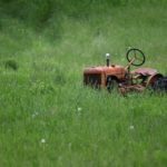 Benzinrasenmäher befindet sich in hohem Gras.