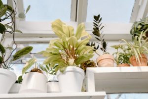 besten-blumentoepfe-test