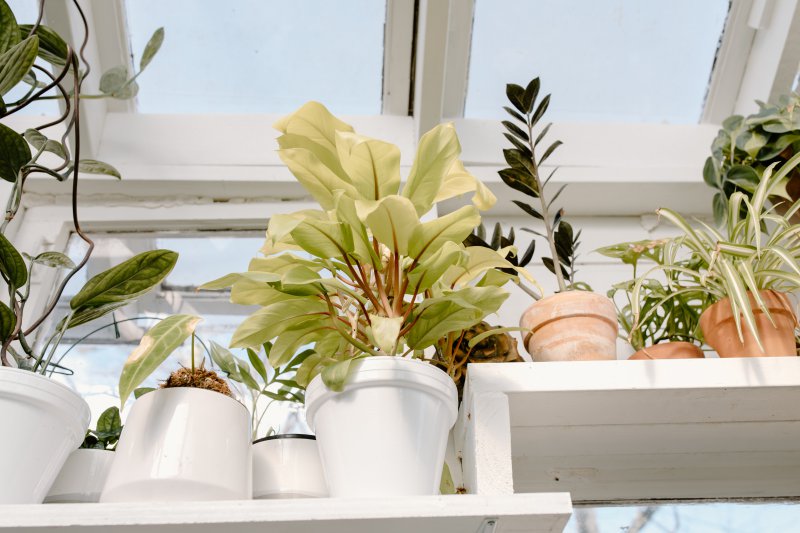 besten-blumentoepfe-test