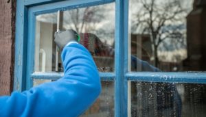 Fensterreiniger im Test