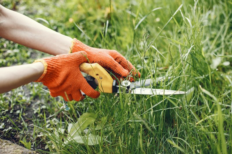 Eine Handgrasschere schneidet hohes Gras