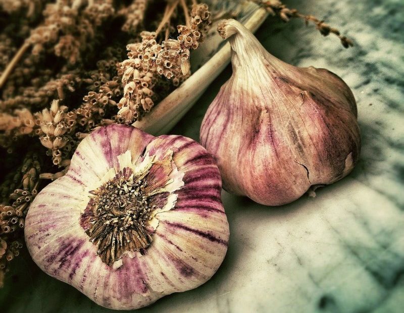 selbst geernteter Knoblauch