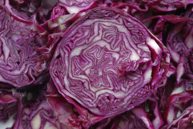 Rotkohl aufgeschnitten