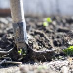 Eine Schaufel, die im Beet steckt