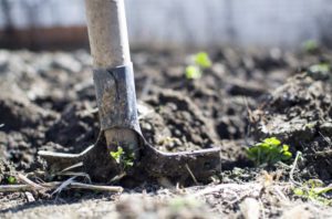 Eine Schaufel, die im Beet steckt