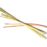 Zitronengrass