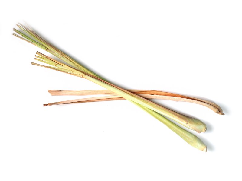 Zitronengrass