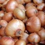 Zwiebeln pflanzen pflegen ernten