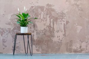Blumenstaender im Test