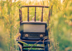 Vintage Gartenlautsprecher im Feld