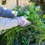 gartenabfall-gruen-handschuhe-abfall