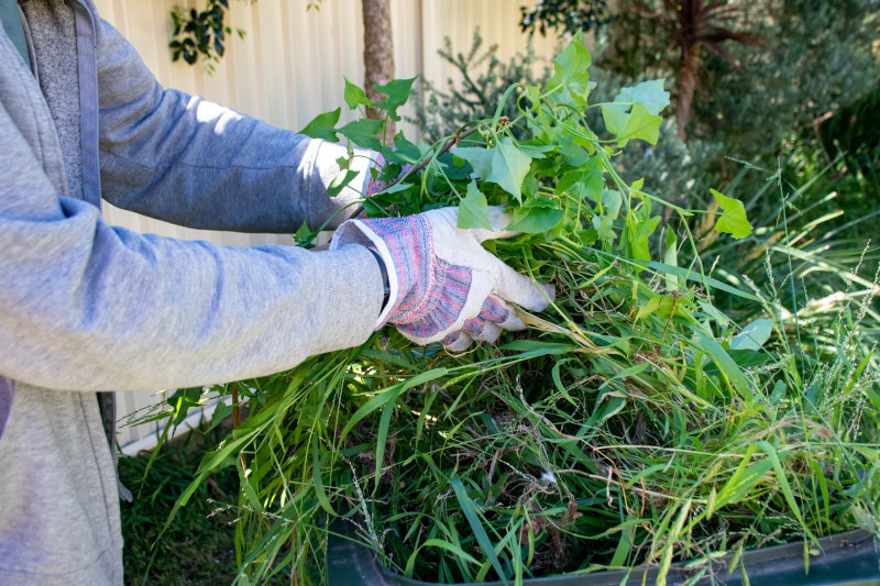 gartenabfall-gruen-handschuhe-abfall