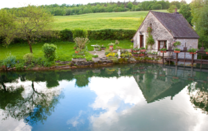 Ein Gartenteich neben einem Haus