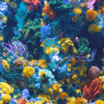 Ein gesundes Aquarium mit leuchtenden Fischen