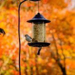 Futtersaeulen im Test Vogelfutterstation